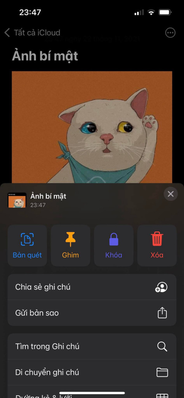 cach-an-anh-iphone_1647190924 cách ẩn ảnh iphone