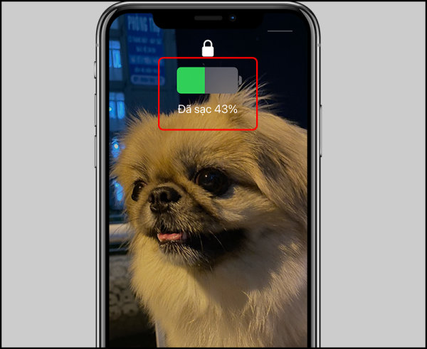 cách bật phần trăm pin iphone