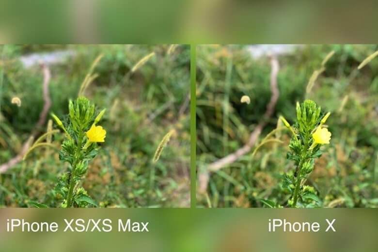 camera-iphone-xs-max-va-iphone-x_1582196656 so sánh camera ip xs max và ip x