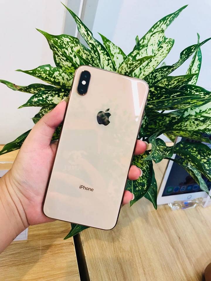 xs max đập hộp