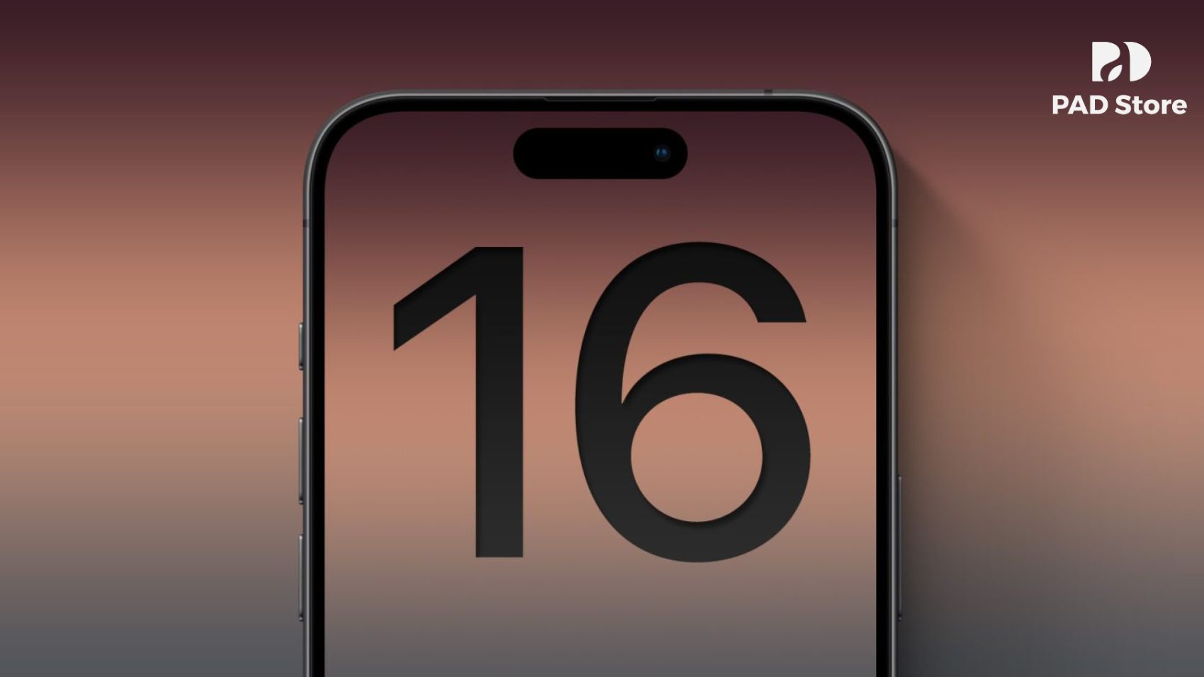 15_1726717690-1
