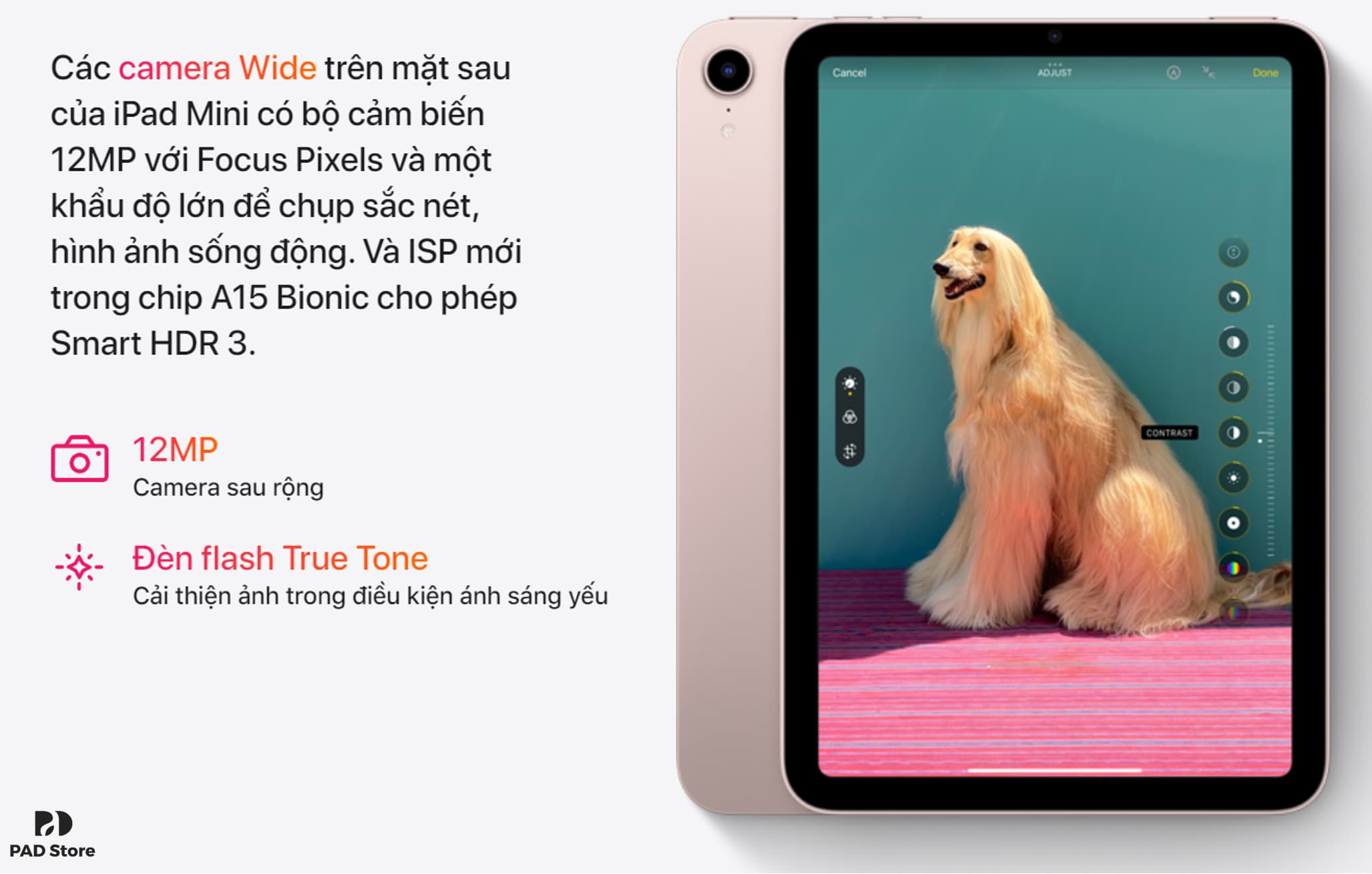 ipad_mini_6_chinh_hang_3_1636359787-2