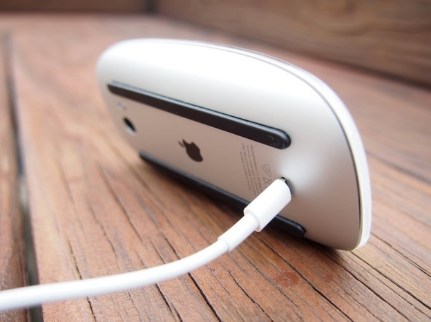 magic_mouse_-_image_1_1_1631351712